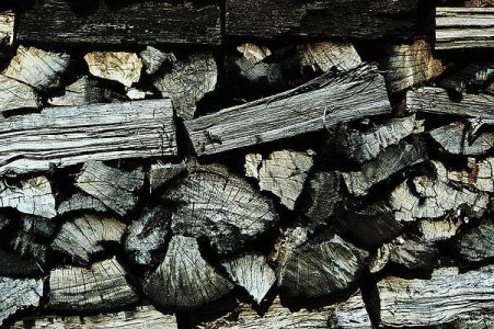 wood-logs-luc-van-de-steeg